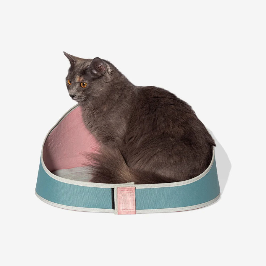 Camas para gato