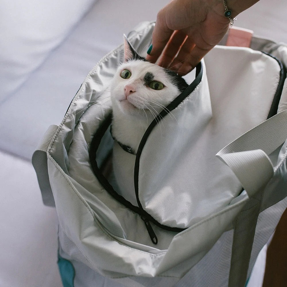 Maleta viajera para gato ZEECAT Kombucha de ZEEDOG, impermeable, vista principal