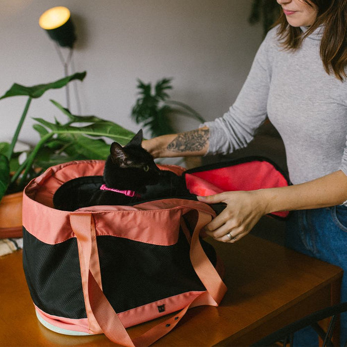 Maleta viajera para gato ZEECAT Terracotta de ZEEDOG, impermeable, vista principal