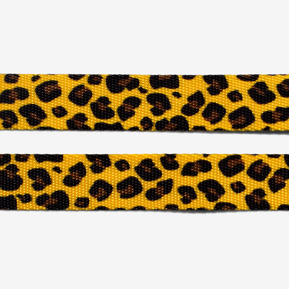 Collar Honey para gatos ZEECAT de ZEEDOG, ajustable, poliéster, vista principal