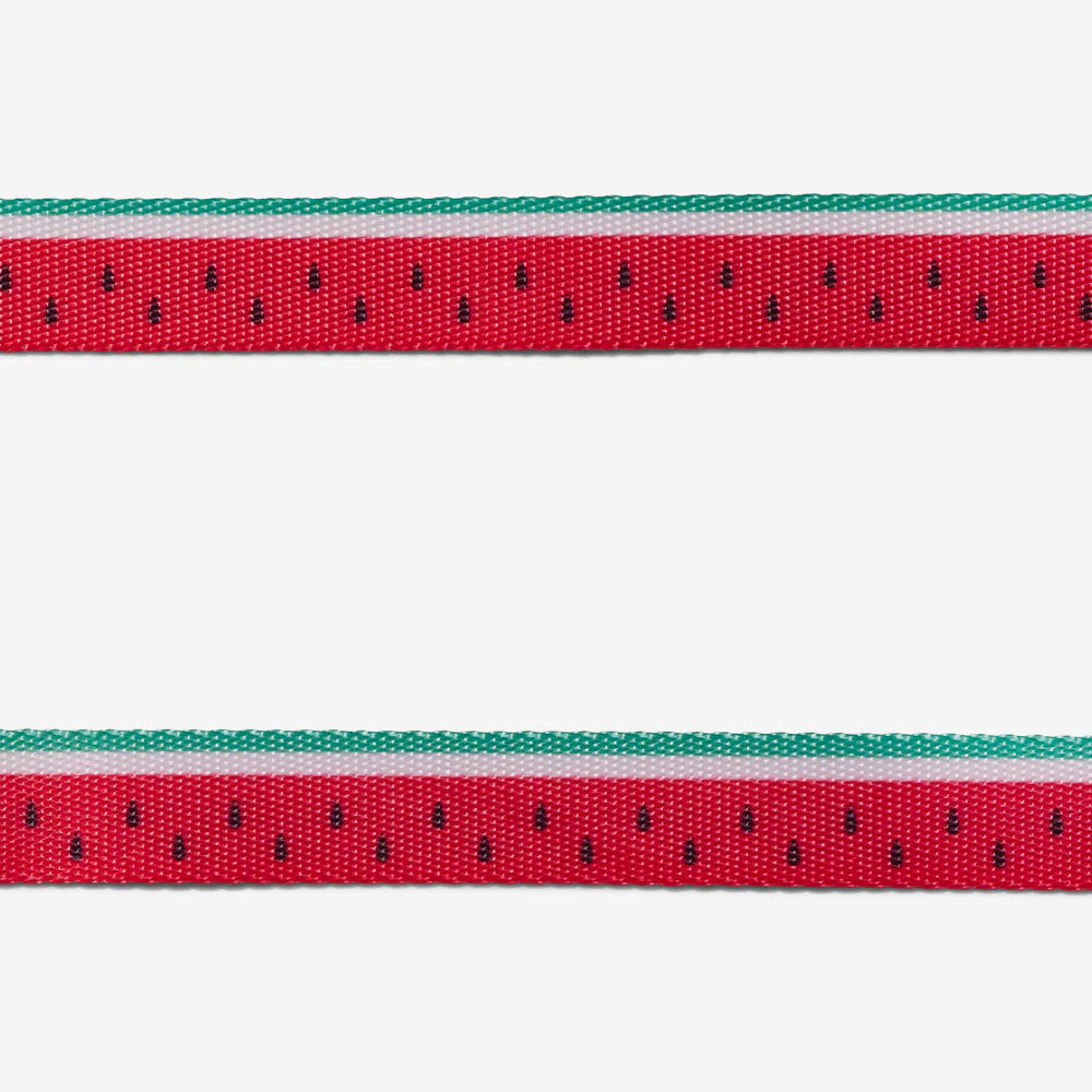 Collar Lola para gatos ZEECAT de ZEEDOG, ajustable, poliéster, vista principal