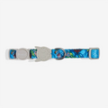 Collar Thor para gatos ZEECAT de ZEEDOG, ajustable, poliéster