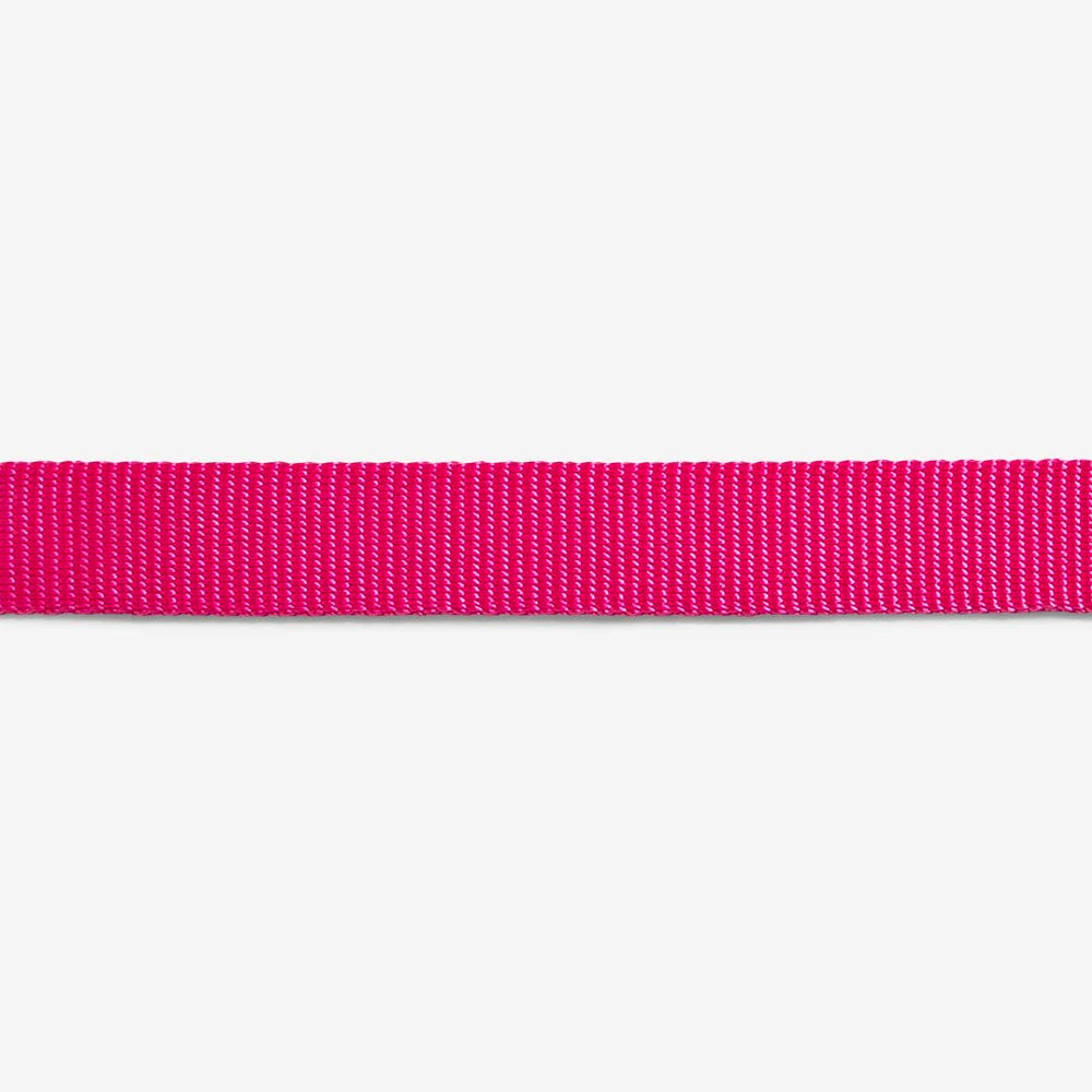 Collar Pinkled para gatos ZEECAT de ZEEDOG, ajustable, poliéster, vista principal