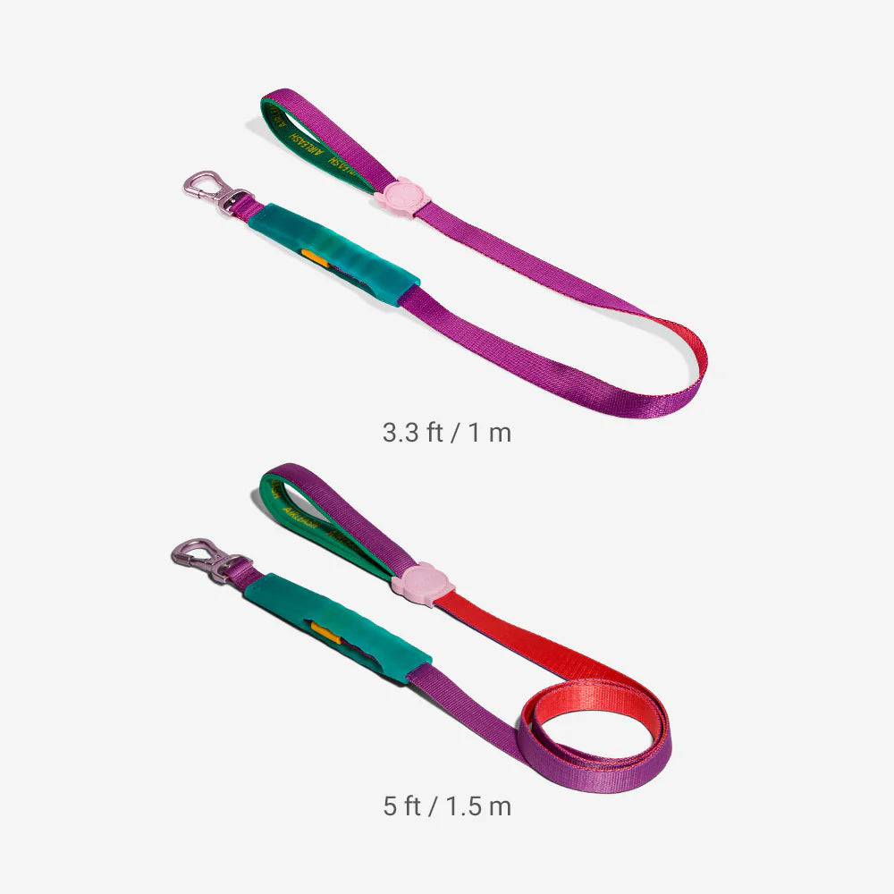 Correa para perros Antitirones Airleash Cali dos de ZEEDOG, verde, rosa, rojo, acolchado, antitirones
