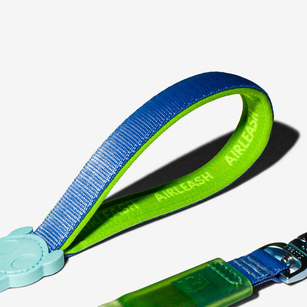 Correa para perros Antitirones Airleash Cali uno de ZEEDOG, acolchado, antitirones