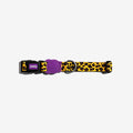 Collar Honey para perros de ZEEDOG, amarillo, negro, dorado, cierre de seguridad, completamente ajustable