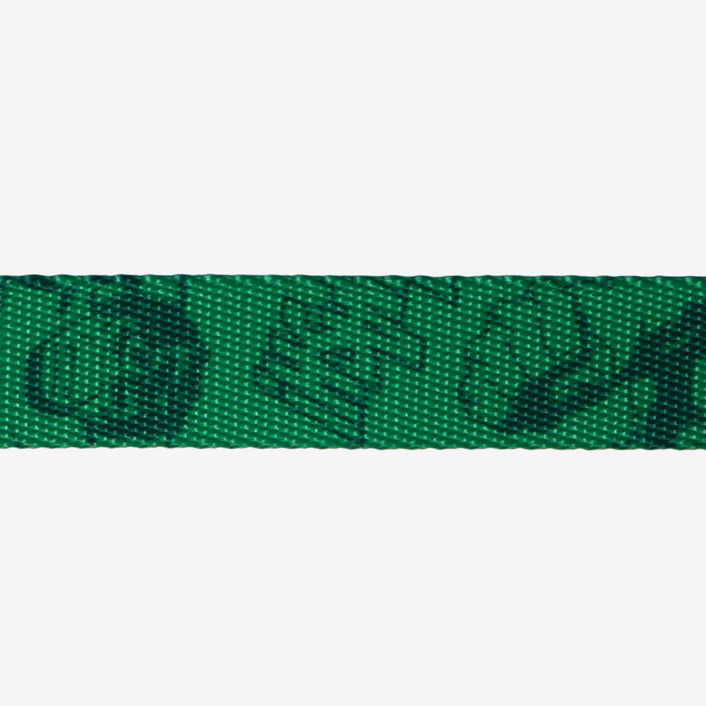 Collar HULK para perros de ZEEDOG, verde, morado, cierre de seguridad, ajustable, vista principal