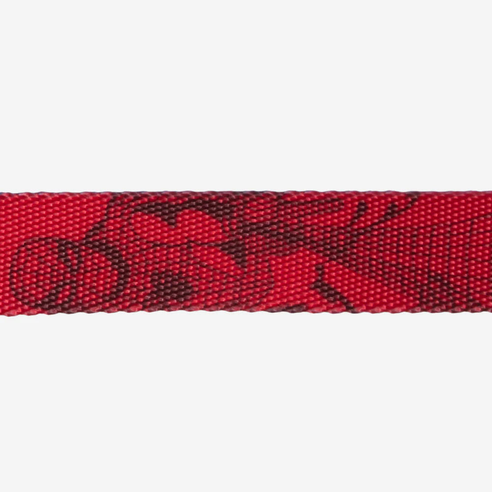 Collar SPIDERMAN para perros de ZEEDOG, azul, rojo, cierre de seguridad, ajustable, vista principal