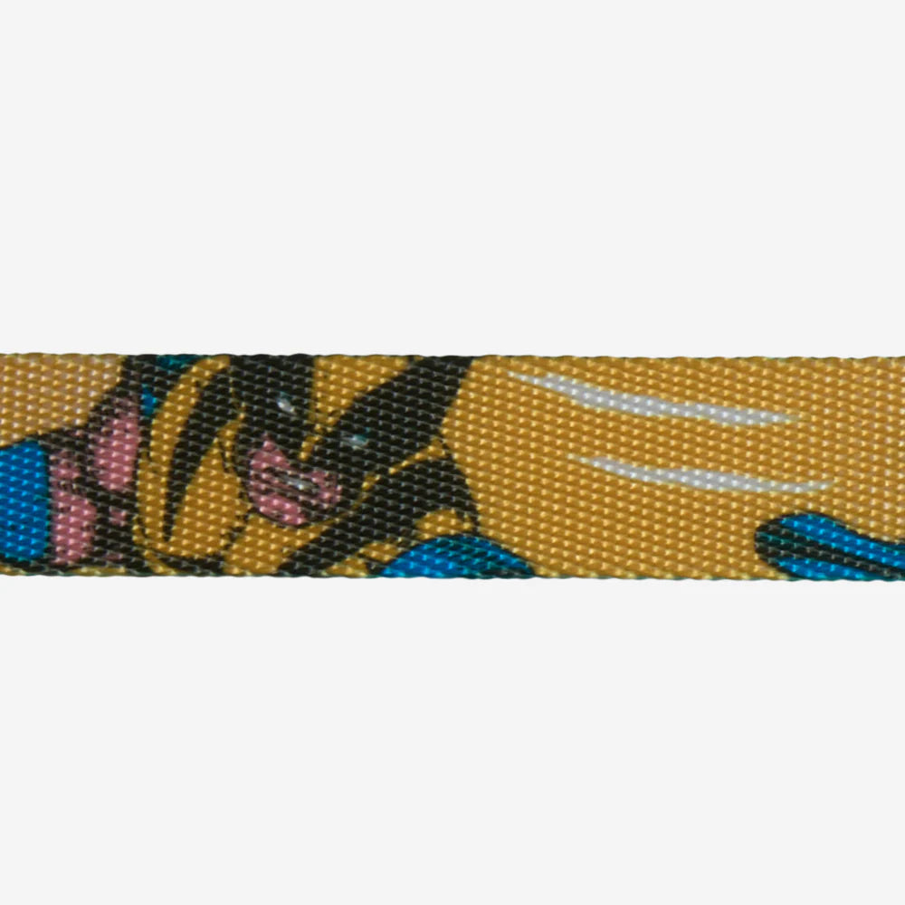 Collar WOLVERINE para perros de ZEEDOG, amarillo, azul, cierre de seguridad, ajustable, vista principal