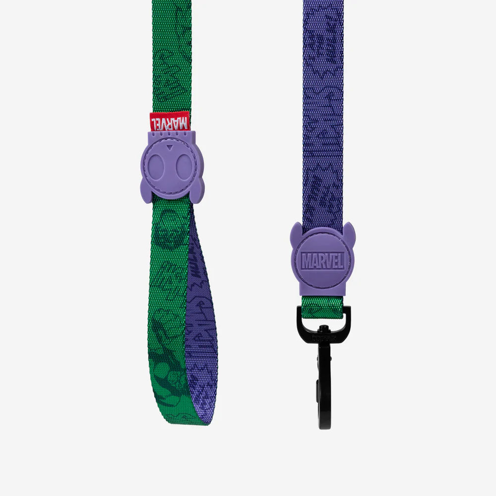 Correa HULK para perros de ZEEDOG, verde, morado, cierre de seguridad, poliéster, vista principal