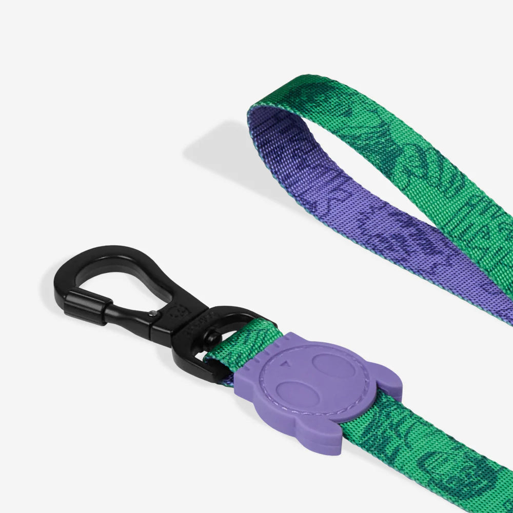 Correa HULK para perros de ZEEDOG, verde, morado, cierre de seguridad, poliéster, vista principal