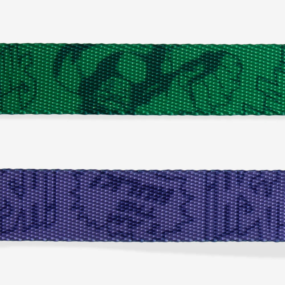 Correa HULK para perros de ZEEDOG, verde, morado, cierre de seguridad, poliéster, vista principal