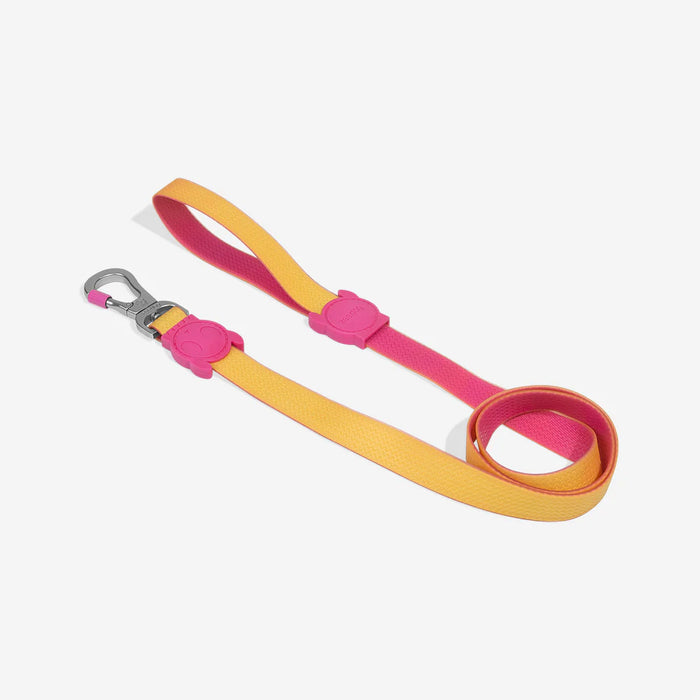 Correa Neopro™ Lyra para perros de ZEEDOG, poliéster, suave, vista principal