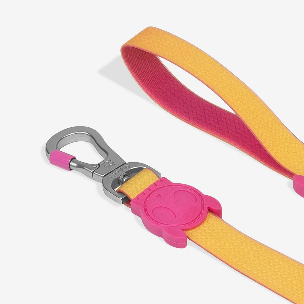 Correa Neopro™ Lyra para perros de ZEEDOG, poliéster, suave, vista principal