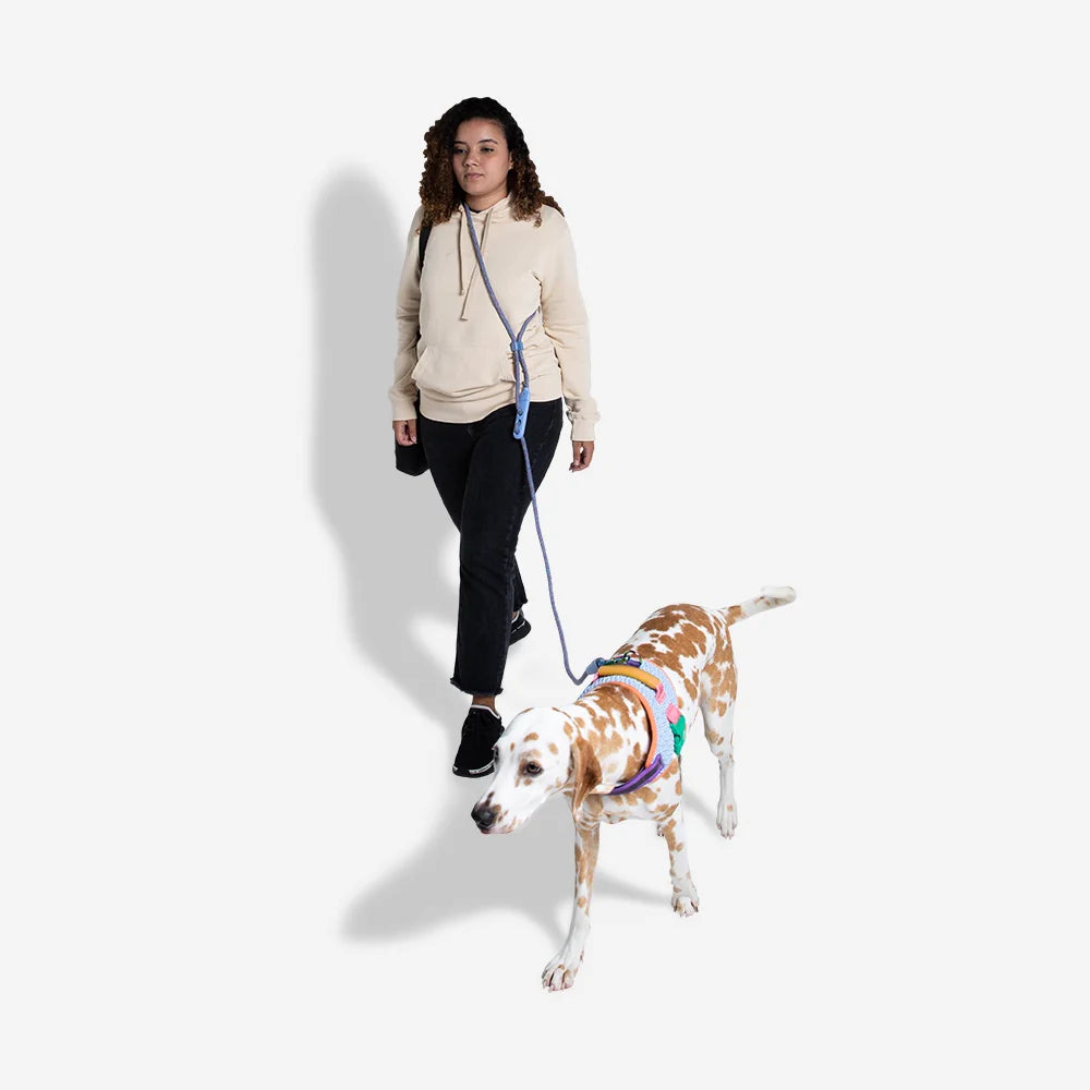 Correa manoslibres ANDROMEDA para perros de ZEEDOG, arcoíris, café, ajustable, vista principal
