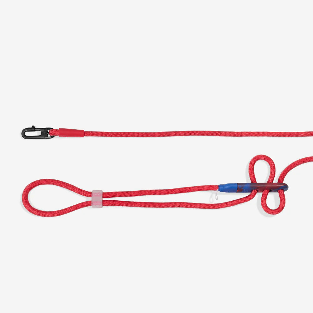 Correa manoslibres SPIDERMAN para perros de ZEEDOG, azul, rojo, ajustable, vista principal