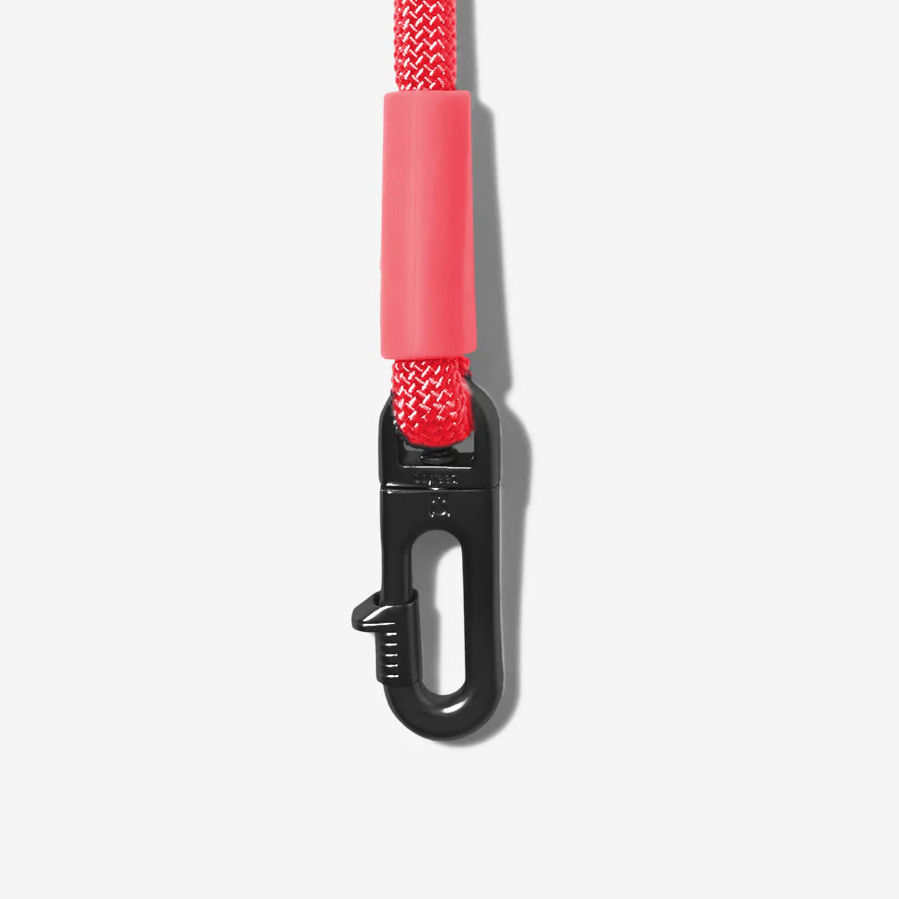 Correa manoslibres Neon Coral para perros de ZEEDOG, vista principal