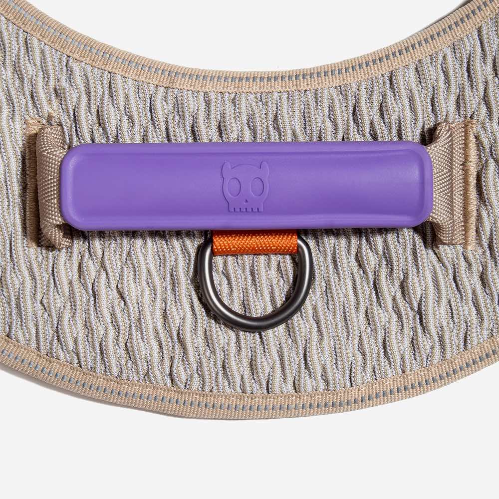 Flyharness ACG - Arnés para perros de ZEEDOG, arcoíris, naranja, azul, reflectante, acolchado, vista principal