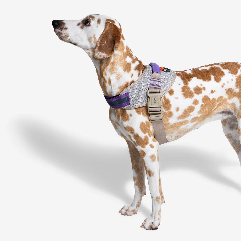 Flyharness ACG - Arnés para perros de ZEEDOG, arcoíris, naranja, azul, reflectante, acolchado, vista principal