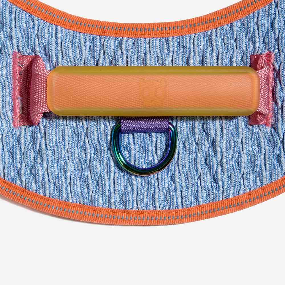 Flyharness Galaxy - Arnés para perros de ZEEDOG, arcoíris, azul, morado, reflectante, acolchado, vista principal