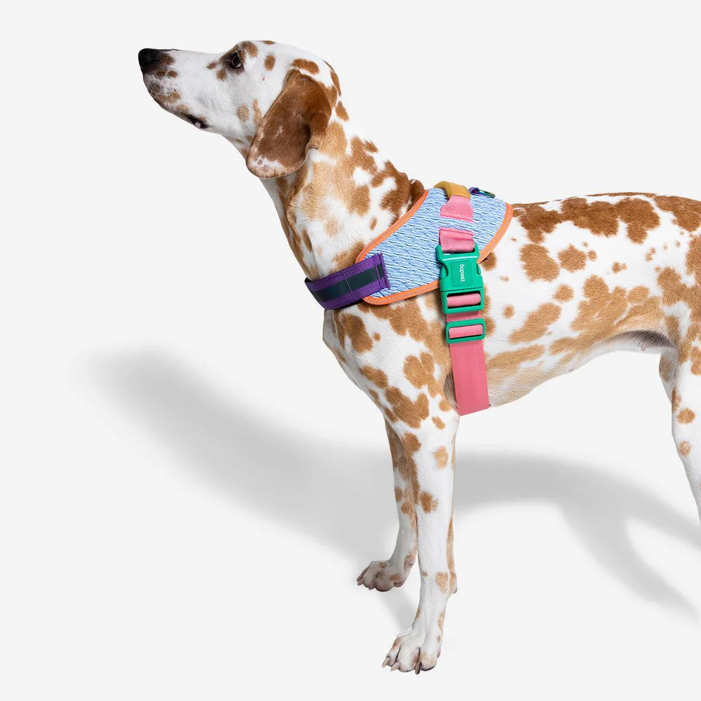 Flyharness Galaxy - Arnés para perros de ZEEDOG, arcoíris, azul, morado, reflectante, acolchado, vista principal