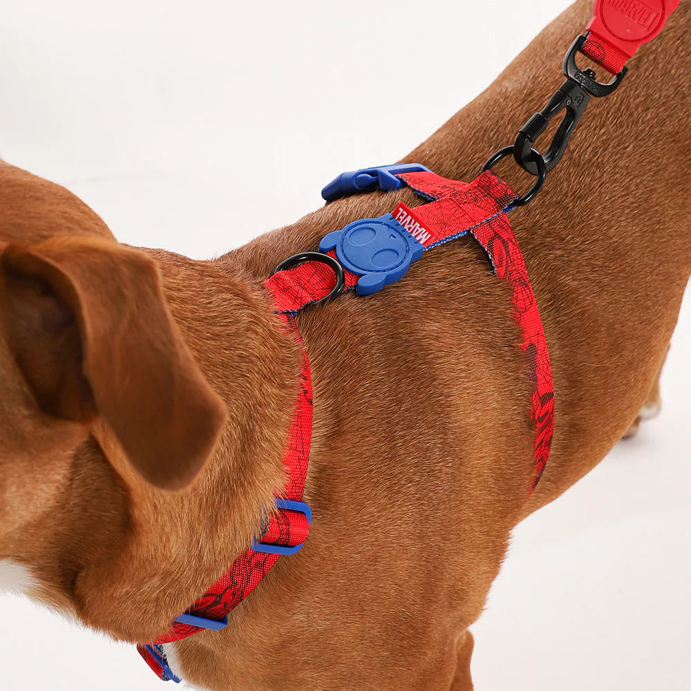 Arnés en H para perros SPIDERMAN de ZEEDOG, azul, rojo, poliéster, suave, vista principal