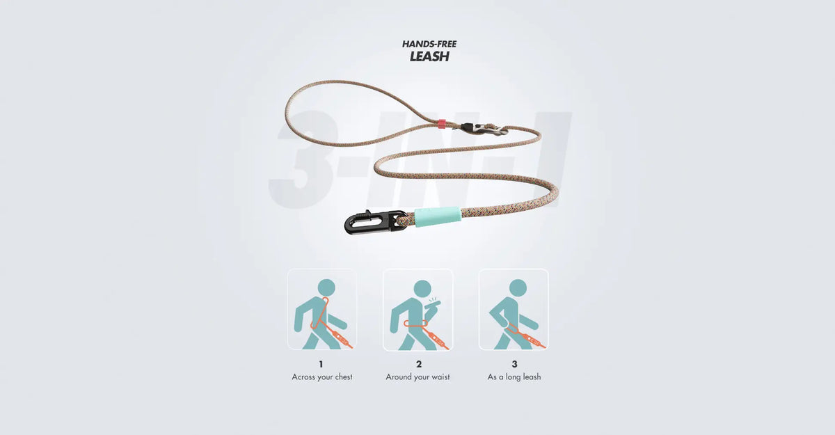 Correa manoslibres Gravity para perros de RazasLovers, ajustable, poliéster