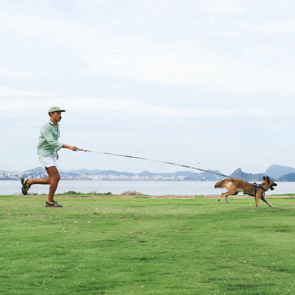 Correa Extralarga de entrenamiento para perros de ZEEDOG, naranja, ajustable, poliéster, vista principal