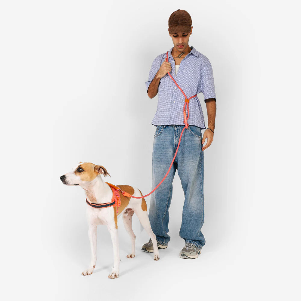 Correa para perros manoslibres Gazzele de ZEEDOG, naranja, rosa, café, ajustable, suave