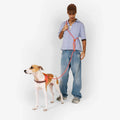 Pack Paseos Confortables