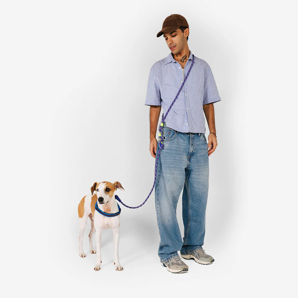 Correa para perros manoslibres Tokyo de ZEEDOG, azul, verde, café, suave