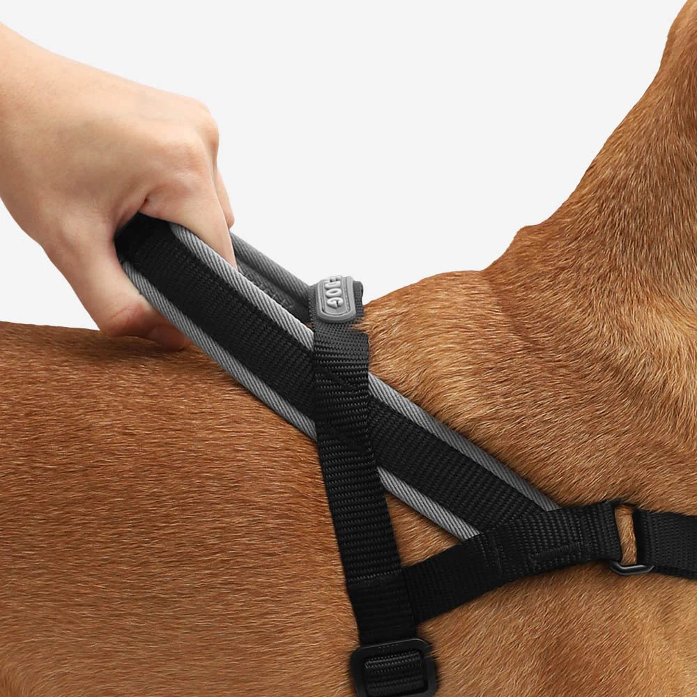 Arnés anti-tirones para perro Gotham / Softer Walk Harness de ZEEDOG, antitirones, cierre de seguridad, vista principal
