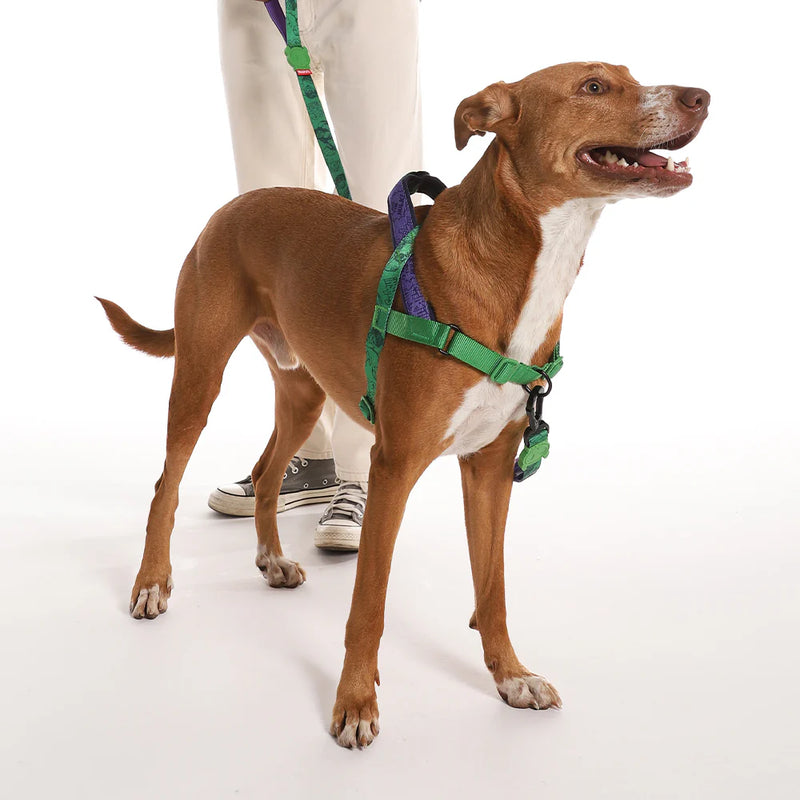 Arnés anti-tirones para perro HULK / Softer Walk Harness
