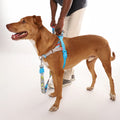 Arnés anti-tirones para perro THOR / Softer Walk Harness