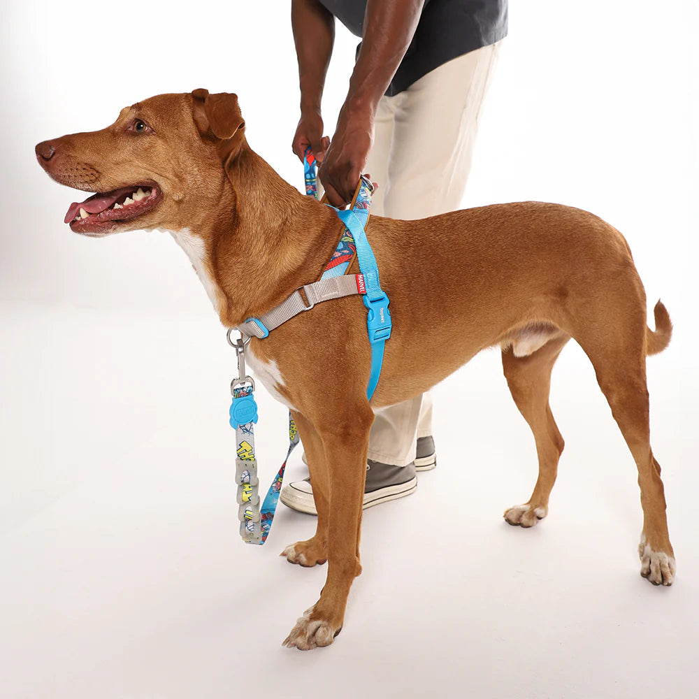 Arnés anti-tirones para perro THOR / Softer Walk Harness de ZEEDOG, rojo, gris, antitirones