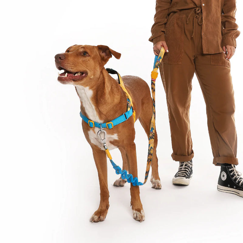 Arnés anti-tirones para perro WOLVERINE / Softer Walk Harness