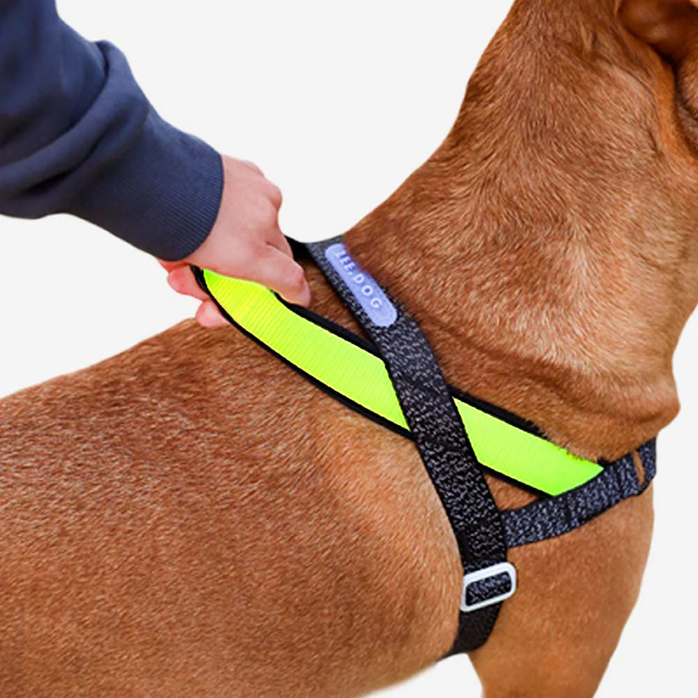 Arnés anti-tirones para perro NOX / Softer Walk Harness de ZEEDOG, verde, negro, antitirones, vista principal