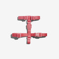 H-Harness NEOPRO® Bubblegum - Arnés en H para perros de ZEEDOG, poliéster, vista principal