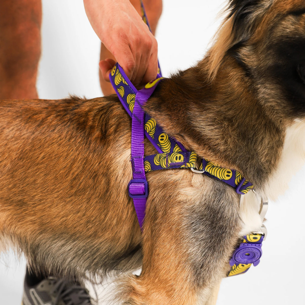 Arnés anti-tirones para perro ZMILEY / Softer Walk Harness de ZEEDOG, completamente ajustable, poliéster, vista principal